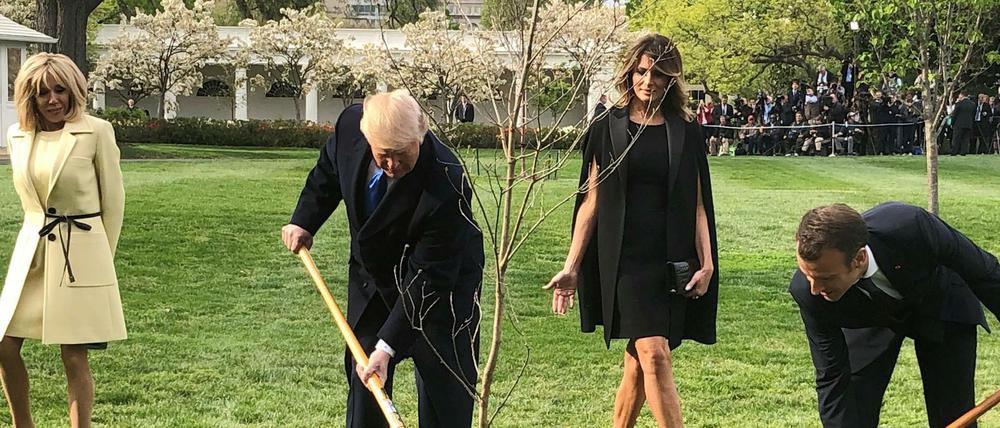 US-Präsident Trump und Frankreichs Präsident Macron pflanzen, ihre Ehefrauen schauen zu. 