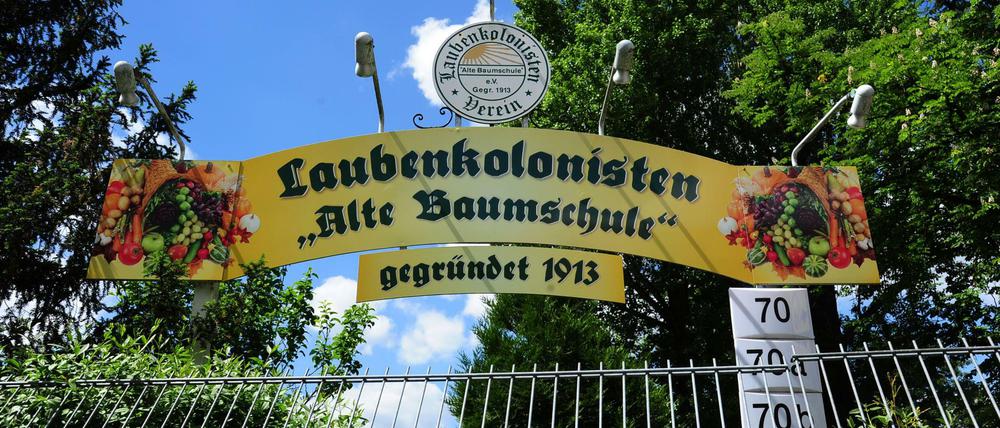 Kleingartenanlage in Pankow. 