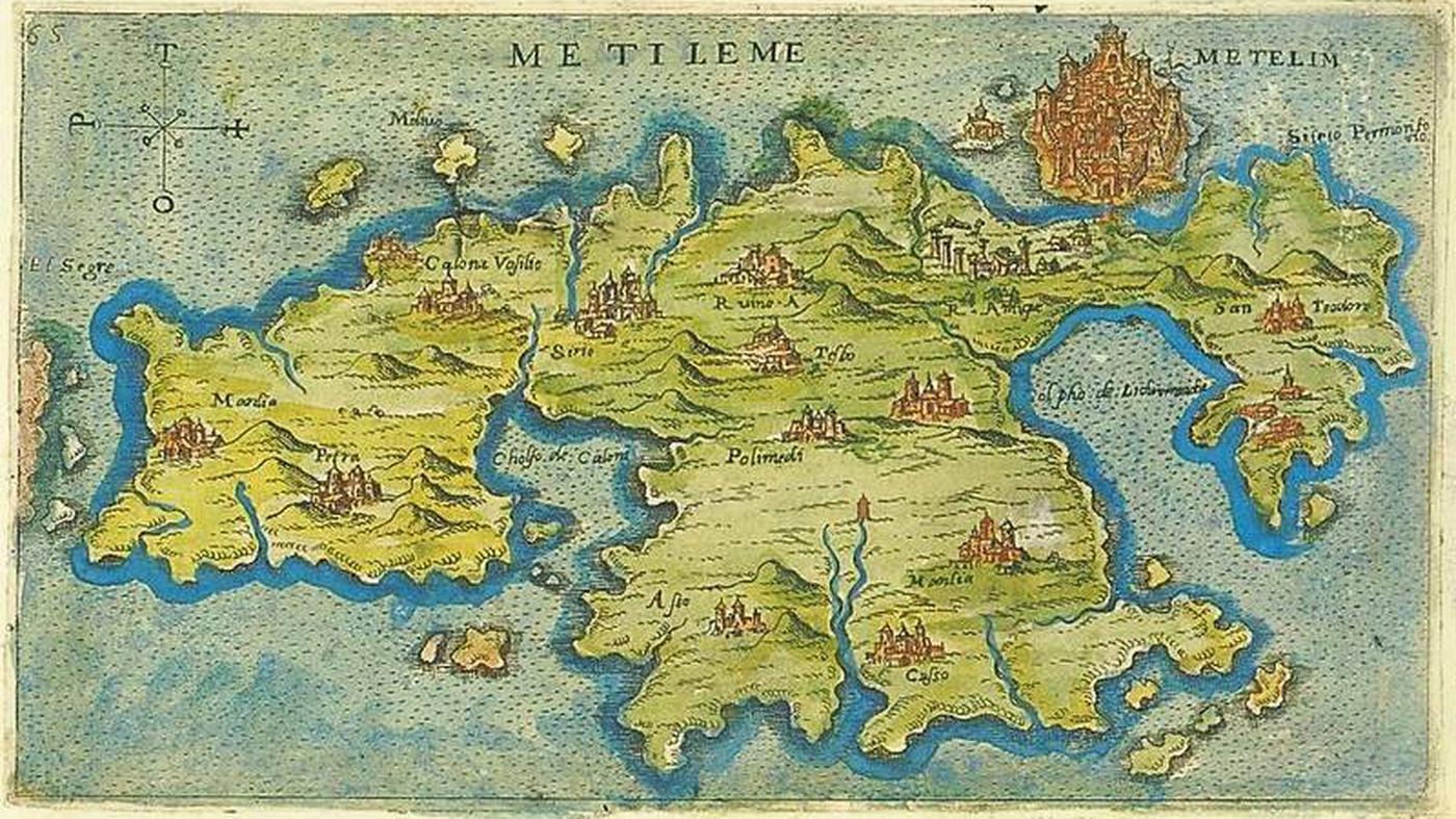 Aristoteles als Biologe Der Philosoph und die Kalamari