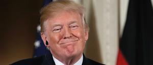 "Wir sind ein sehr starkes Land": Donald Trump während der Pressekonferenz mit Angela Merkel in Washington D.C.