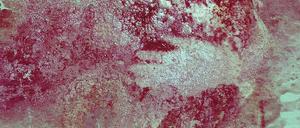 Schattenrisse von Händen in der spanischen Höhle Maltravieso sind mindestens 66.000 Jahre alt. Sie stammen wohl vom Neandertaler. 