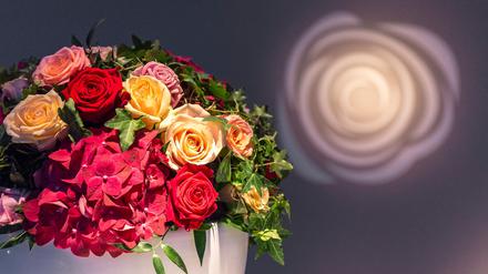 Die Stiftung Deutsche Schlaganfall-Hilfe feierte auf dem "Rosenball 2018" ihr 25. Jubiläum.