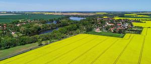 In einigen Gegenden Brandenburgs wurde am Sonntag gewählt.
