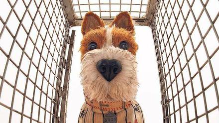 Hinter Gittern. Die Hunde von Megasaki City haben auf Trash Island nichts zu lachen. 