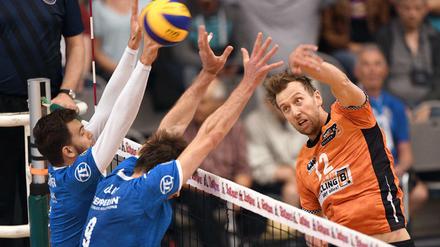 Paul Carroll will mit den Volleys wieder den Titel.