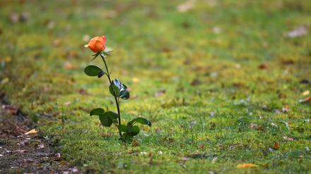 Ein Friedhof in der Türkei (hier ein Symbolbild) wird nachts von einem geheimnisvollen Mädchen besucht. 
