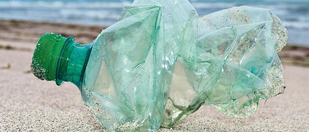 Plastikmüll auf der Insel Rügen.