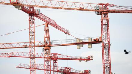 Dicht an dicht stehen Baukräne auf einer Baustelle in Frankfurt am Main. (Archiv)