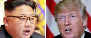 Trump teilte die Freilassung der in Nordkorea inhaftierten US-Bürger über Twitter mit.