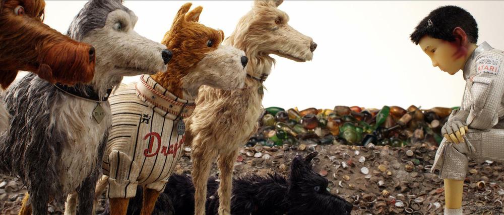 Szene aus dem Film "Isle of Dogs - Ataris Reise" von Regisseur Wes Anderson.