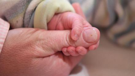 Wo ist die Mutter der drei Babys?