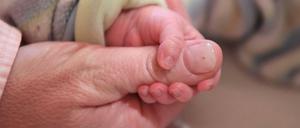 Wo ist die Mutter der drei Babys?