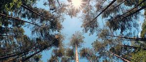 Ausgetrocknet. In Brandenburg fehlt der Niederschlag.