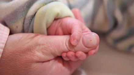 Halt kann auch eine Pflegefamilie geben.