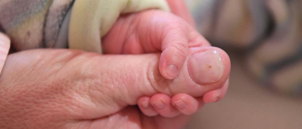 Halt kann auch eine Pflegefamilie geben.
