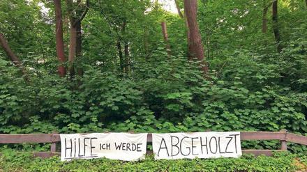 Biotop oder Bauland? Im Moment stehen hier am Dahlemer Weg noch Hunderte Bäume.