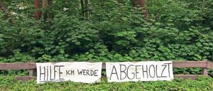 Biotop oder Bauland? Im Moment stehen hier am Dahlemer Weg noch Hunderte Bäume.