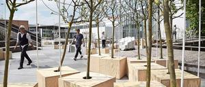 Apfelbäume am Kulturforum. Zur Ausstellung "Food Revolution 5.0" zur Zukunft der Ernährung verwandelt sich die Piazza vor dem Kunstgewerbemuseum in einen Essbaren Garten. 
