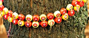 Alfa Conradt bepflanzt in ihrem Kiez in der Türkenstraße in Berlin-Wedding Baumscheiben.