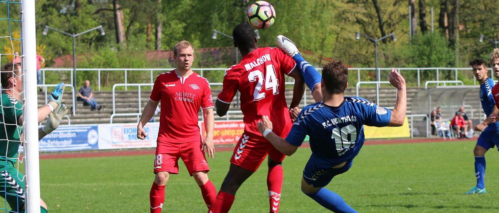Toptorjäger. Sebastian Huke (blaues Trikot) weiß, wo das Tor steht. Der Oberliga-Stürmer von Hertha 03 traf diese Saison schon 22 Mal.