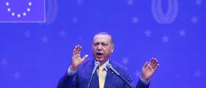 In Deutschland durfte Erdogan nicht auftreten. Heute wandte er sich in Sarajevo an Tausende Auslandstürken.