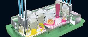 Miniaturmensch. Miteinander verbundene Gewebeproben dienen als Modell für die realen Körperfunktionen.