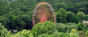 Altes Spreepark-Riesenrad im Plänterwald in Berlin-Treptow.