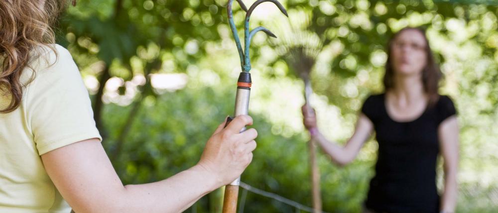 Streit übern Gartenzaun ist keine Seltenheit.