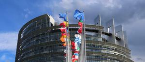 Europafahnen und Nationalfahnen der EU-Mitgliedsstaaten vor dem Europäischen Parlament in Straßburg.