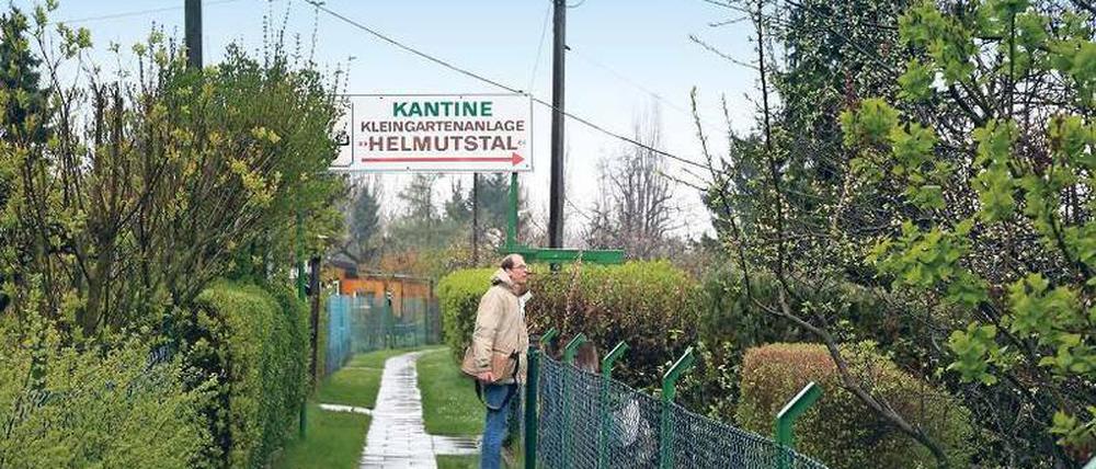 Grüne Lunge des Bezirks. Eine Kleingartenanlage in Treptow.