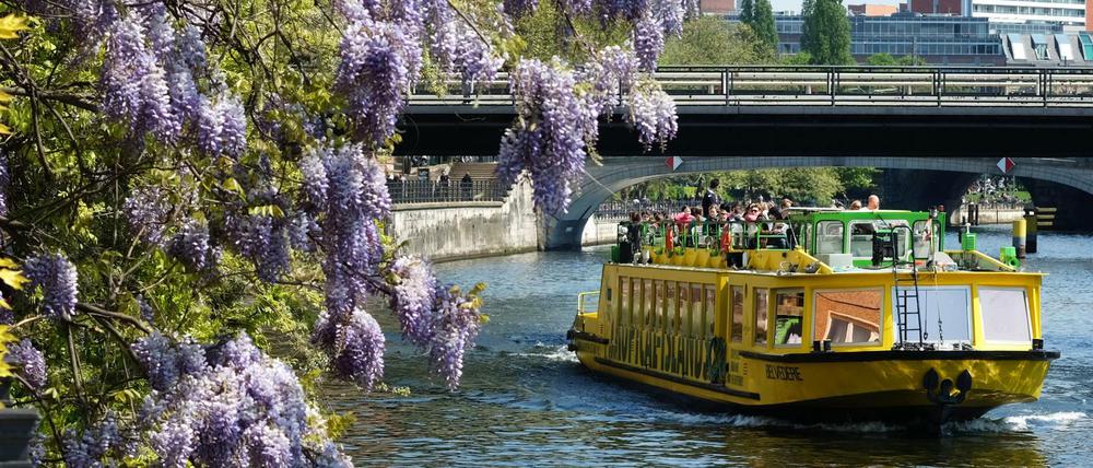 Pech gehabt: Wegen der AfD-Gegendemo ist die Spree für Ausflugsdampfer vorübergehend gesperrt.