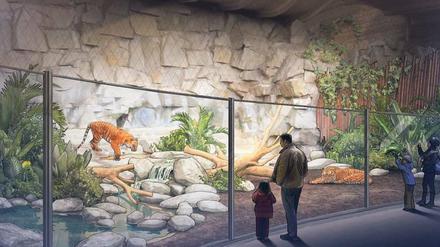 Mehr Platz für die Katz’. Der alte Wassergraben wird zugeschüttet, fortan sollen Glaswände Besucher und Tiere trennen.