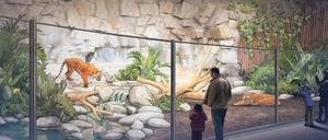 Mehr Platz für die Katz’. Der alte Wassergraben wird zugeschüttet, fortan sollen Glaswände Besucher und Tiere trennen.