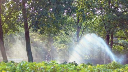 Im Sommer verspricht der Tiergarten Abkühlung.
