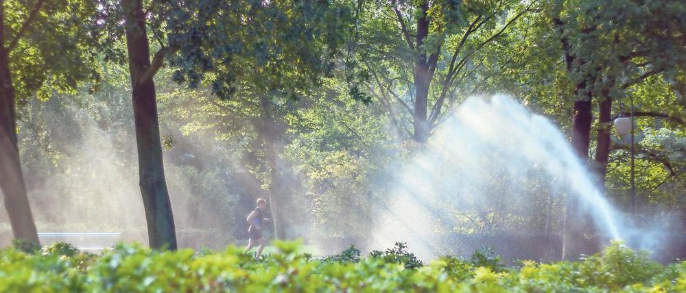 Im Sommer verspricht der Tiergarten Abkühlung.