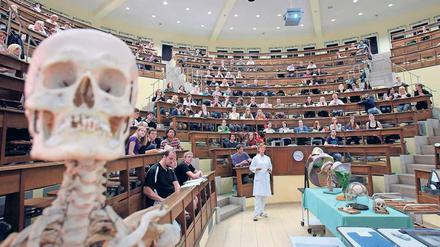 Anatomie der Platzvergabe. In einer Übergangszeit könnten Notenbeste mehr denn je bevorteilt sein.