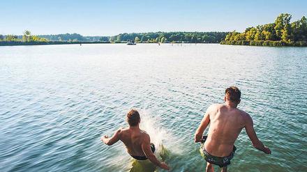 Platsch. Der Westen Berlins springt in die Havel – zum Beispiel in Spandau.