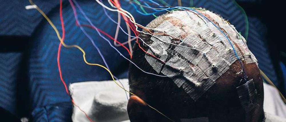 Frisur der Zukunft. Computer werden vernetzt, Menschen vernetzen sich, das ist die Gegenwart. Doch Ingenieure und Wissenschaftler arbeiten längst an Methoden, menschliche und tierische Hard- und Software mit maschineller Hilfe zur verknüpfen.
