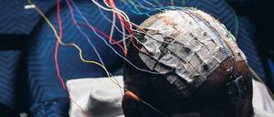Frisur der Zukunft. Computer werden vernetzt, Menschen vernetzen sich, das ist die Gegenwart. Doch Ingenieure und Wissenschaftler arbeiten längst an Methoden, menschliche und tierische Hard- und Software mit maschineller Hilfe zur verknüpfen. 