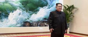 Kim Jong Un und Trump wollen sich am 12. Juni in Singapur treffen.