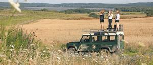 Seeadler in Sicht? Eine Aussichtsplattform ist bei einer "Inselsafari" immer mit an Bord.