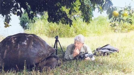 Seine Expeditionen führten den Humanethologen Irenäus Eibl-Eibesfeldt mehrmals zu den Riesenschildkröten auf den Galapagos-Inseln. 