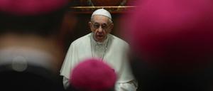 Papst Franziskus im Vatikan