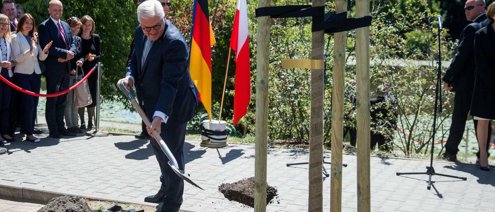 Bundespräsident Frank-Walter Steinmeier pflanzt beim Besuch der deutsch-polnischen-Gärten im Skaryszewski-Park eine Säulen-Hainbuche.