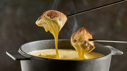 Dipping toasted bread into a hot cheese fondue dripping from the forks in a close up view on a dark background with steam