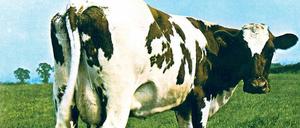 Das Cover des Pink-Floyd-Albums „Atom Heart Mother“ aus dem Jahr 1970.