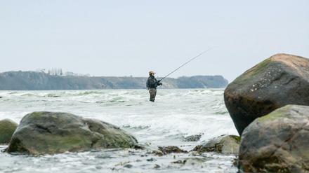 Der Wettangler Uwe Müller bei der Arbeit.