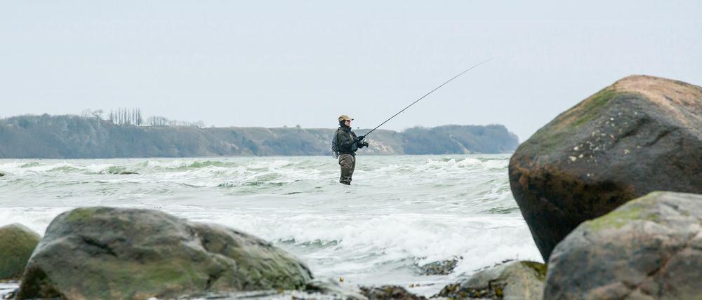 Der Wettangler Uwe Müller bei der Arbeit.