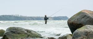 Der Wettangler Uwe Müller bei der Arbeit.
