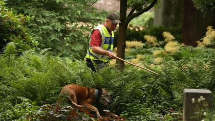 Ein Polizist durchsucht nach dem tödlichen Angriff auf eine junge Frau zusammen mit einem Spürhund ein Gebüsch im Viersener Casino Garten.